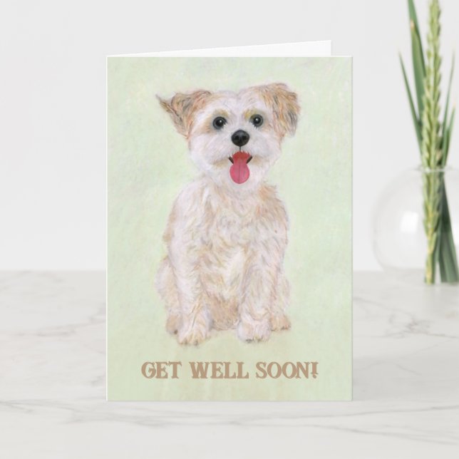 Carte Sweet Biscuit Get Well Card (Devant)