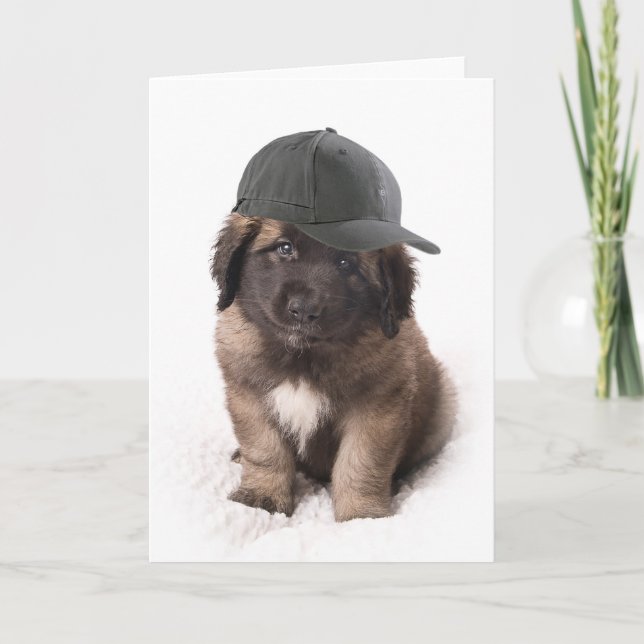 Carte Sweet Leonberger dog le chiot with a le cap (Devant)