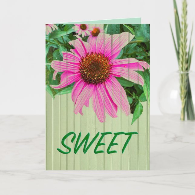 Carte SWEET marguerite violet rose confleur note de jard (Devant)