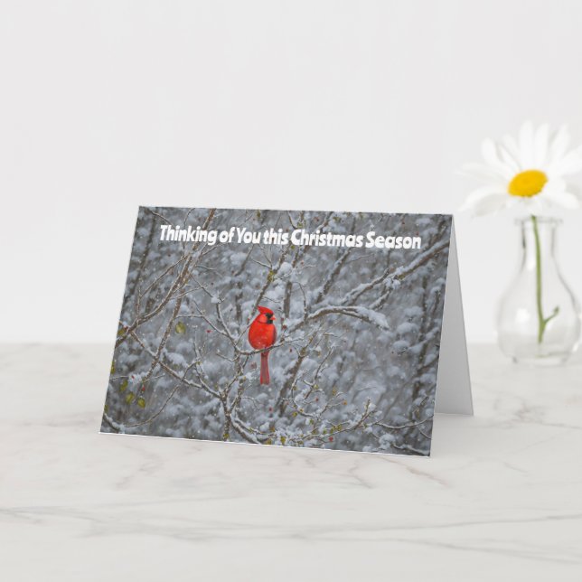 Carte Sweet Red Cardinal neige arbres Noël (Petite plante)