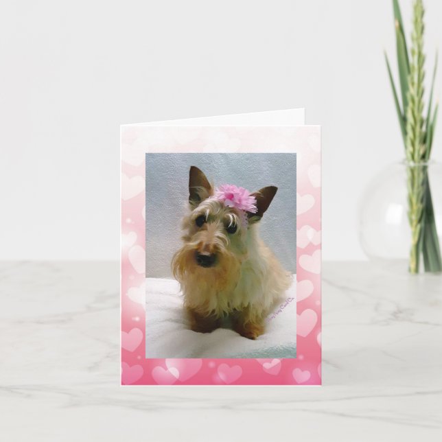 Carte Sweetie Wheatie (Devant)