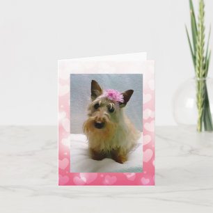 Carte Sweetie Wheatie