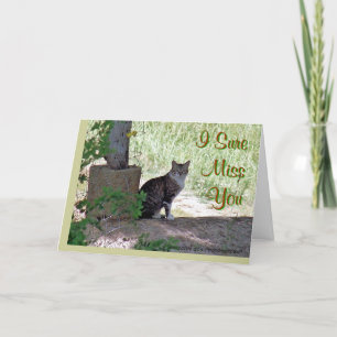 Carte SweetiePie-MissYou-customisez toute occasion