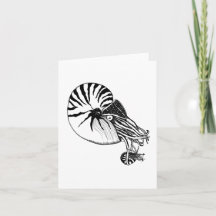Swing de Nautilus