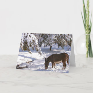 Carte Sylvia
