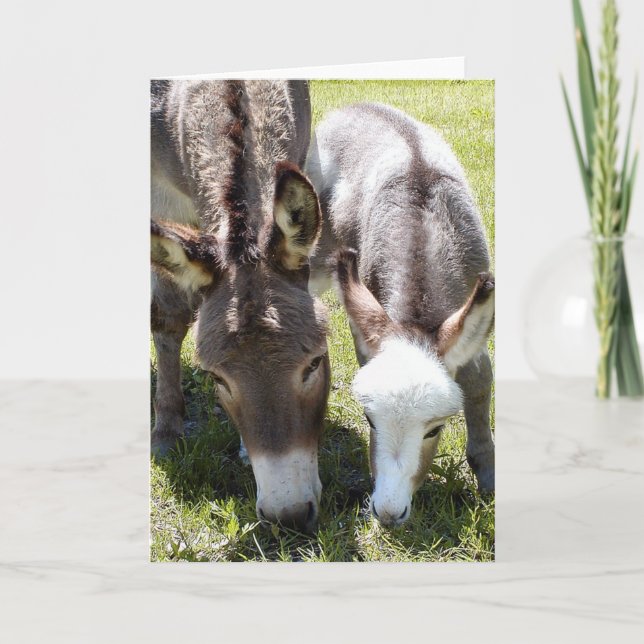 Carte Sylvia et Mr. T (Devant)