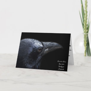 Carte Symbolisme du corbeau