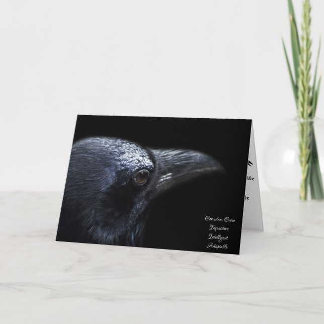 Carte Symbolisme du corbeau (Devant)