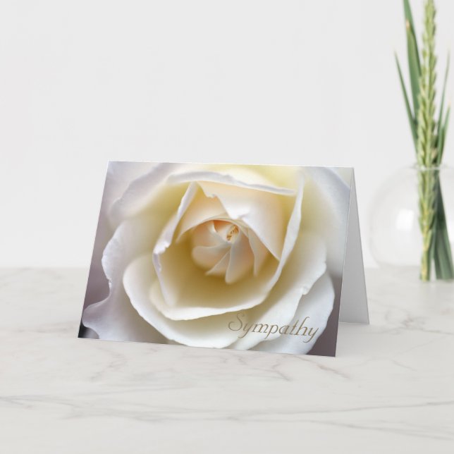 Carte Sympathie à la rose blanche (Devant)