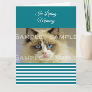Carte Sympathie animal de compagnie perte photo bleu bla