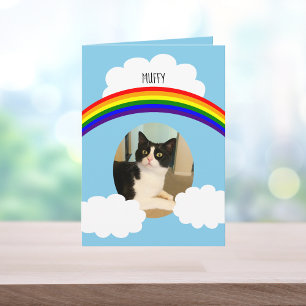 Carte Sympathie avec la photo arc-en-ciel d'un chat d'an