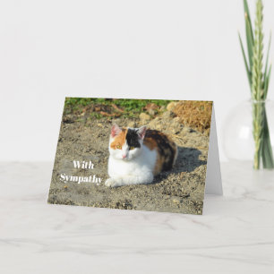 Carte Sympathie avec la photo de Calico Cat