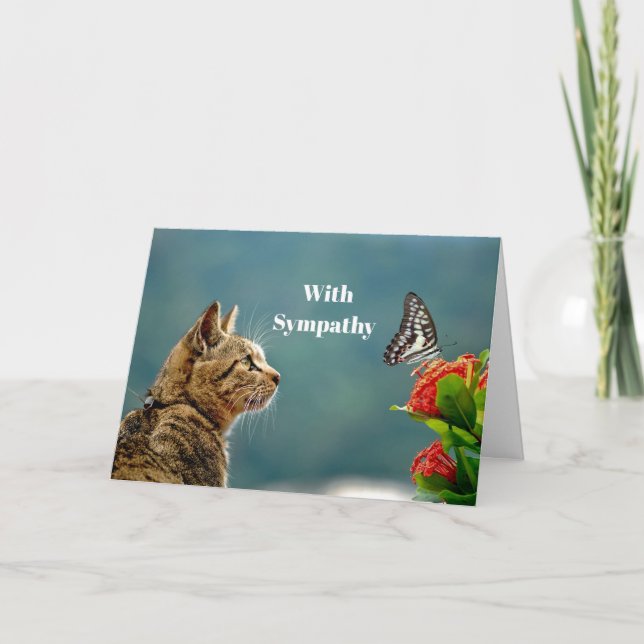 Carte Sympathie avec la photo de papillon cuite Tabby (Devant)