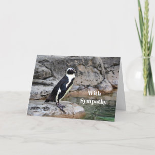 Carte Sympathie avec la photo de Pingouin de la faune