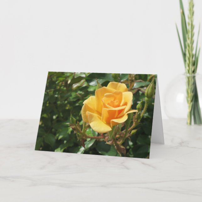 Carte Sympathie avec la photo élégante de la rose jaune  (Devant)