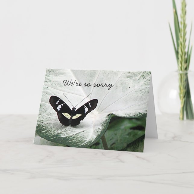 Carte Sympathie avec l'animal (Devant)