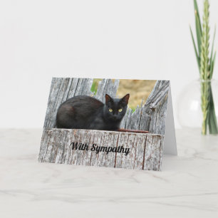 Carte Sympathie avec le journal de chat noir