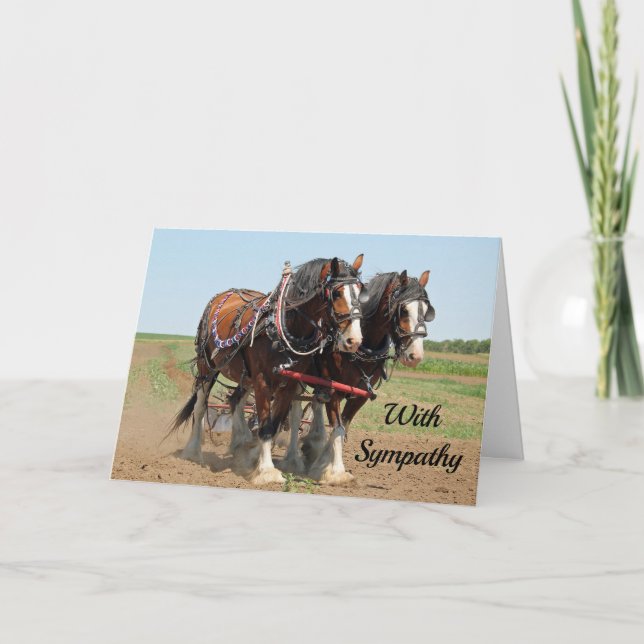 Carte Sympathie avec l'élevage du cheval Clydesdale (Devant)