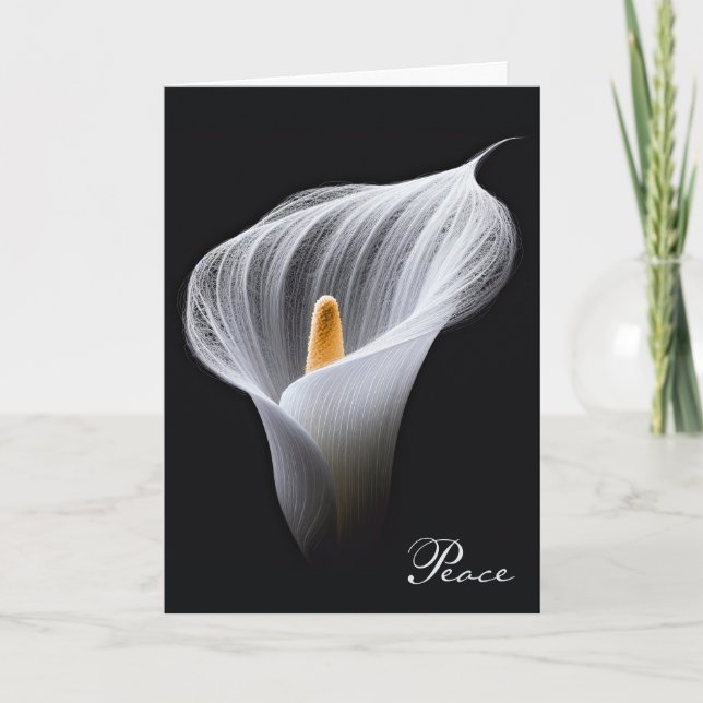 Carte Sympathie Blanche Lily sur Noir (Devant)