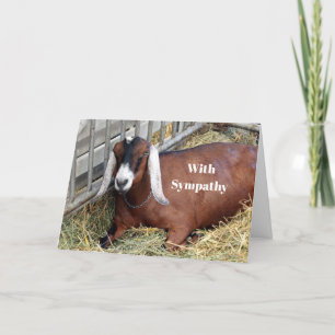 Carte Sympathie Brown avec la chèvre nubienne