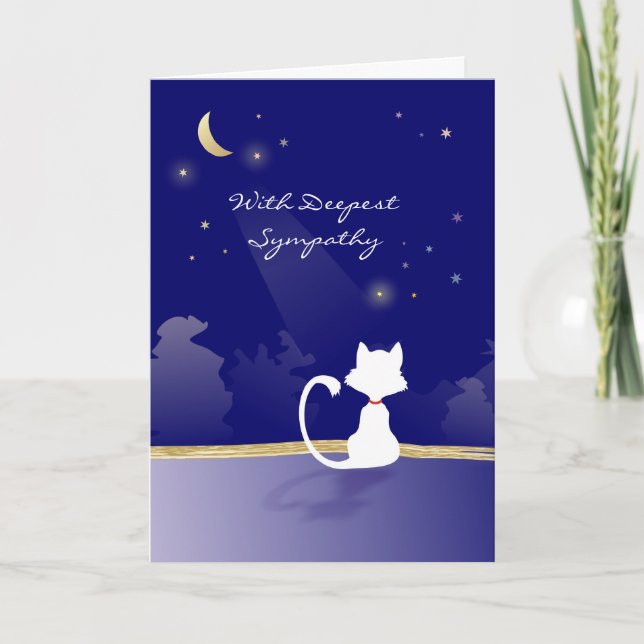 Carte Sympathie Chat - Lune et étoiles (Devant)