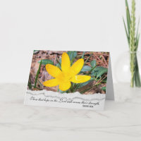 Sympathie Crocus jaune