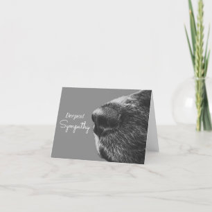Carte Sympathie de chien animal   Condolence de chien