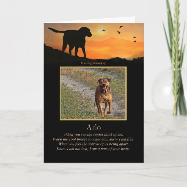 Carte Sympathie de chien Photo personnalisée Poème spiri (Devant)