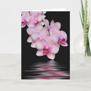 Carte Sympathie de la réflexion sur l'eau de l'orchidée
