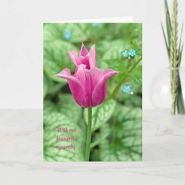 Carte Sympathie de la tulipe rose (Devant)