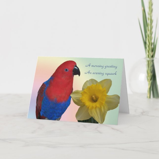 Carte Sympathie de perroquet (Devant)