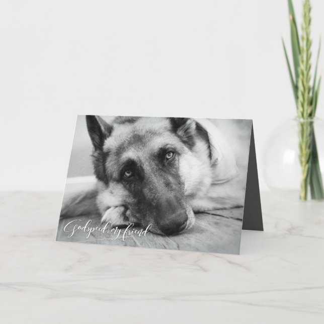 Carte Sympathie de perte d'animal familier de berger (Devant)
