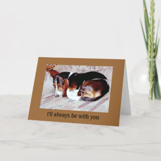 Carte Sympathie de perte d'animal familier : Perte de