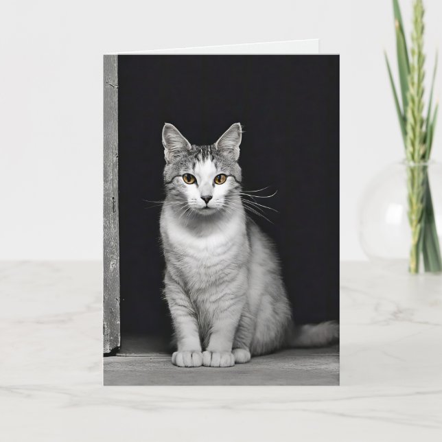 Carte Sympathie de perte de animal de compagnie Kitty (Devant)