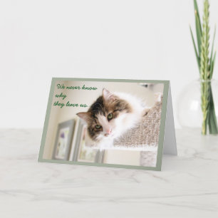 Carte Sympathie de visage de chat gonflé