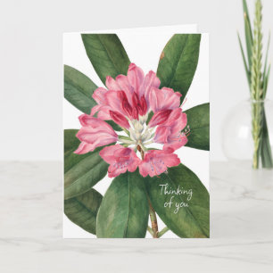 CARTE SYMPATHIE DES BEAUX FLEURS