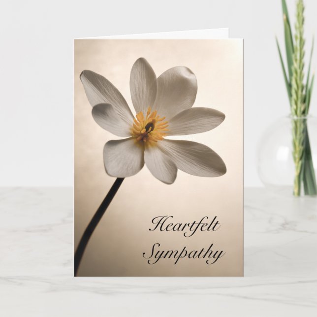 Carte Sympathie des Fleurs sauvages blancs (Devant)