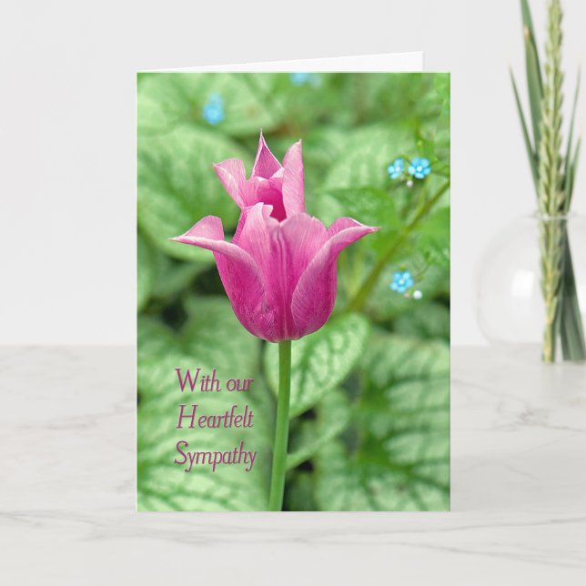 Carte Sympathie des Tulipes du printemps (Devant)