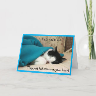Carte Sympathie du chat noir et blanc couché