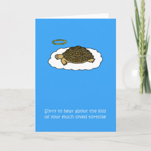 Carte Sympathie face à la perte de la tortue des animaux