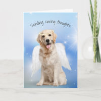 Sympathie Golden Retriever Perte d'animal de compa