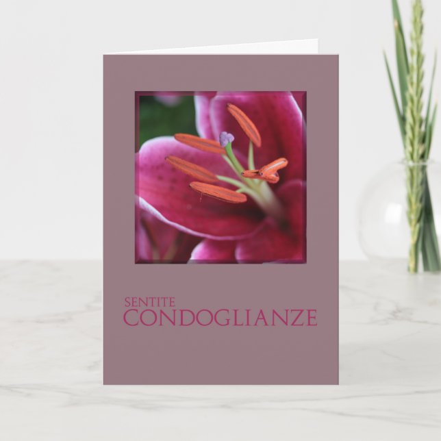 Carte Sympathie italienne Pink Purple Lily (Devant)