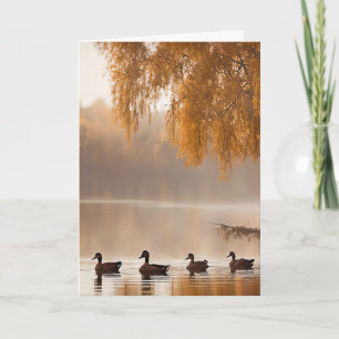 Carte Sympathie Lac Brumeux d'Automne avec des Canards