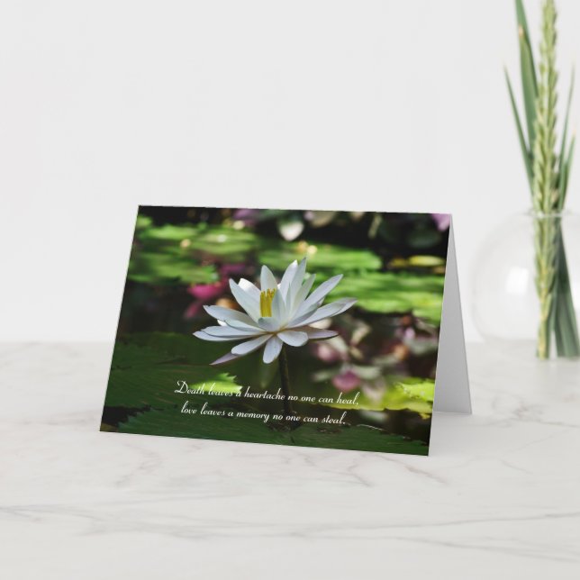Carte Sympathie - Lily d'eau (Devant)