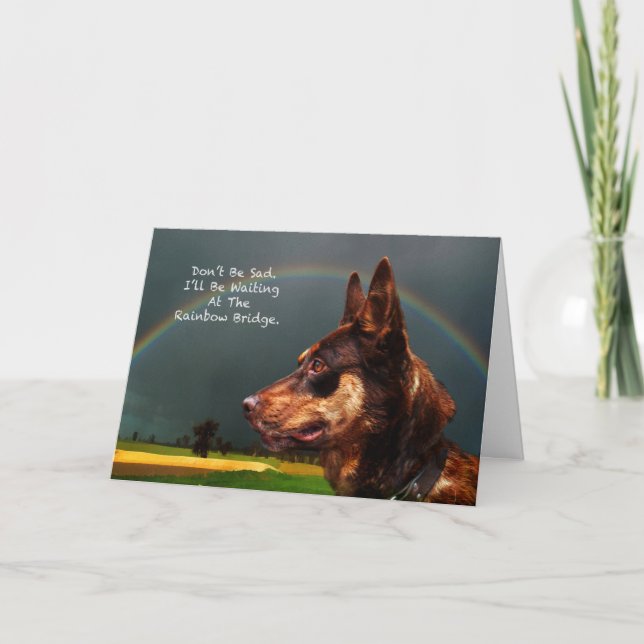 Carte Sympathie - Perte de chien animal de compagnie (Devant)