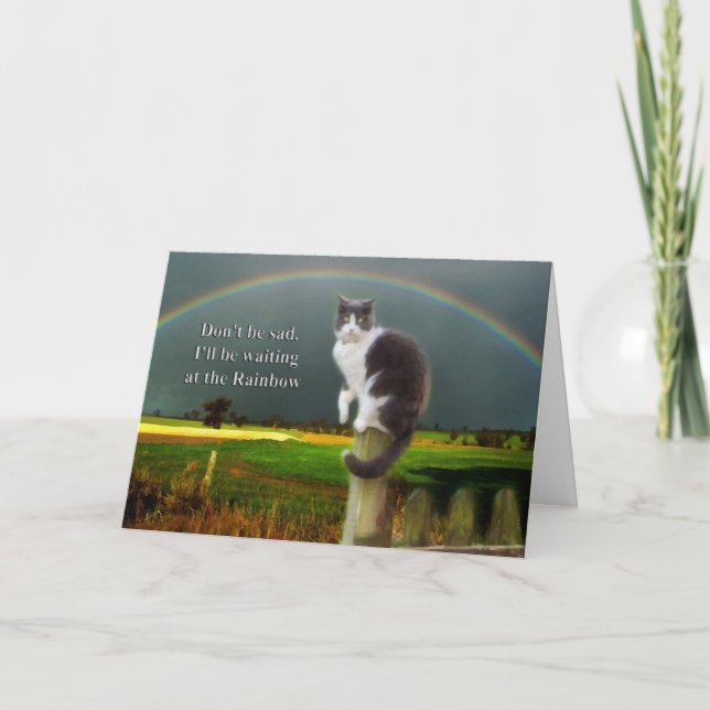 Carte Sympathie - Perte du chat animal de compagnie (Devant)