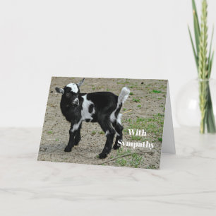 Carte Sympathie photo de chèvre mignonne noire et blanch