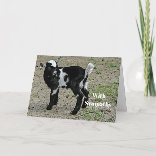 Carte Sympathie photo de chèvre mignonne noire et blanch (Devant)