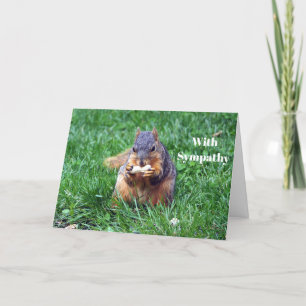 Carte Sympathie photo de l'écureuil mignon