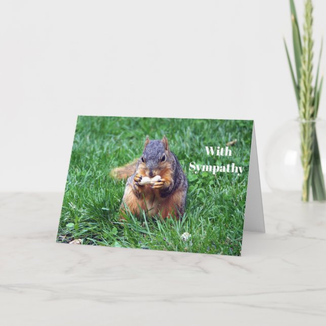 Carte Sympathie photo de l'écureuil mignon (Devant)